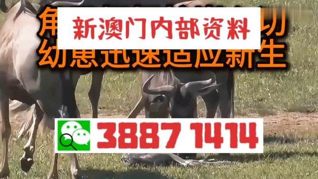 2025澳门天天开好彩免费和女子遭毒蛇咬伤身亡与女子遭毒蛇咬伤身亡视频