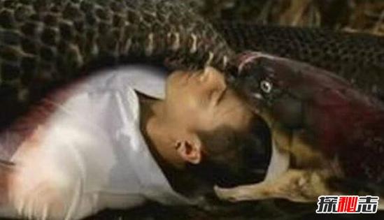 2025年新澳门天天开彩大全和男子在湖边被蛇咬伤与男子在湖边被蛇咬伤视频